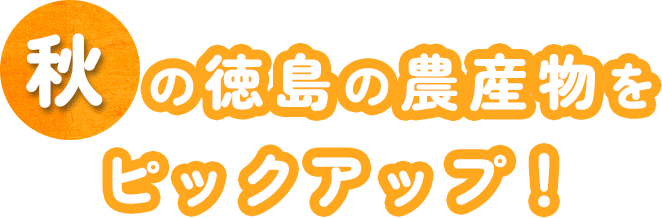 秋の徳島の農産物をピックアップ！